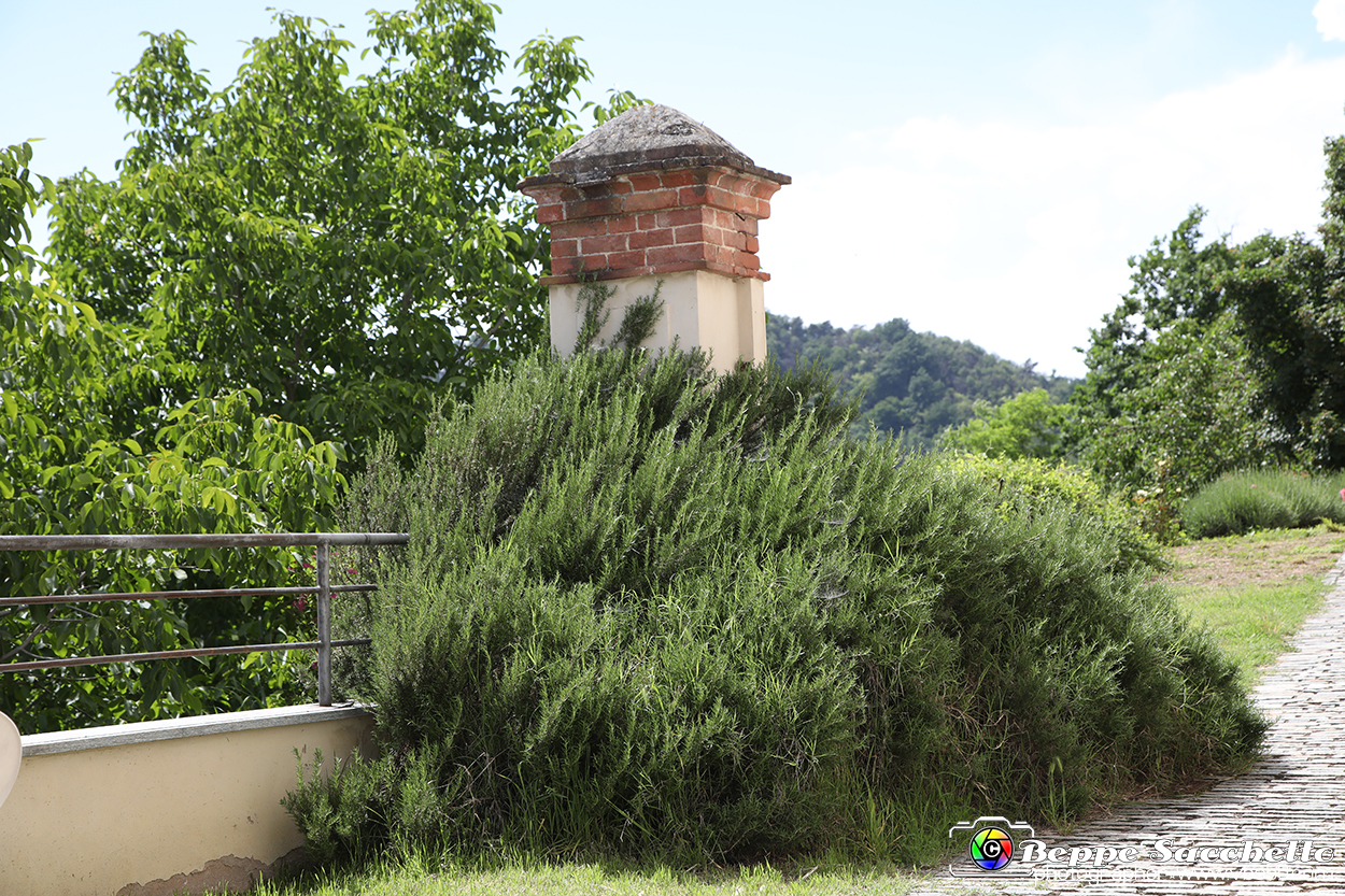 VBS_1401 - Santuario della Madonna del Tavoletto.jpg